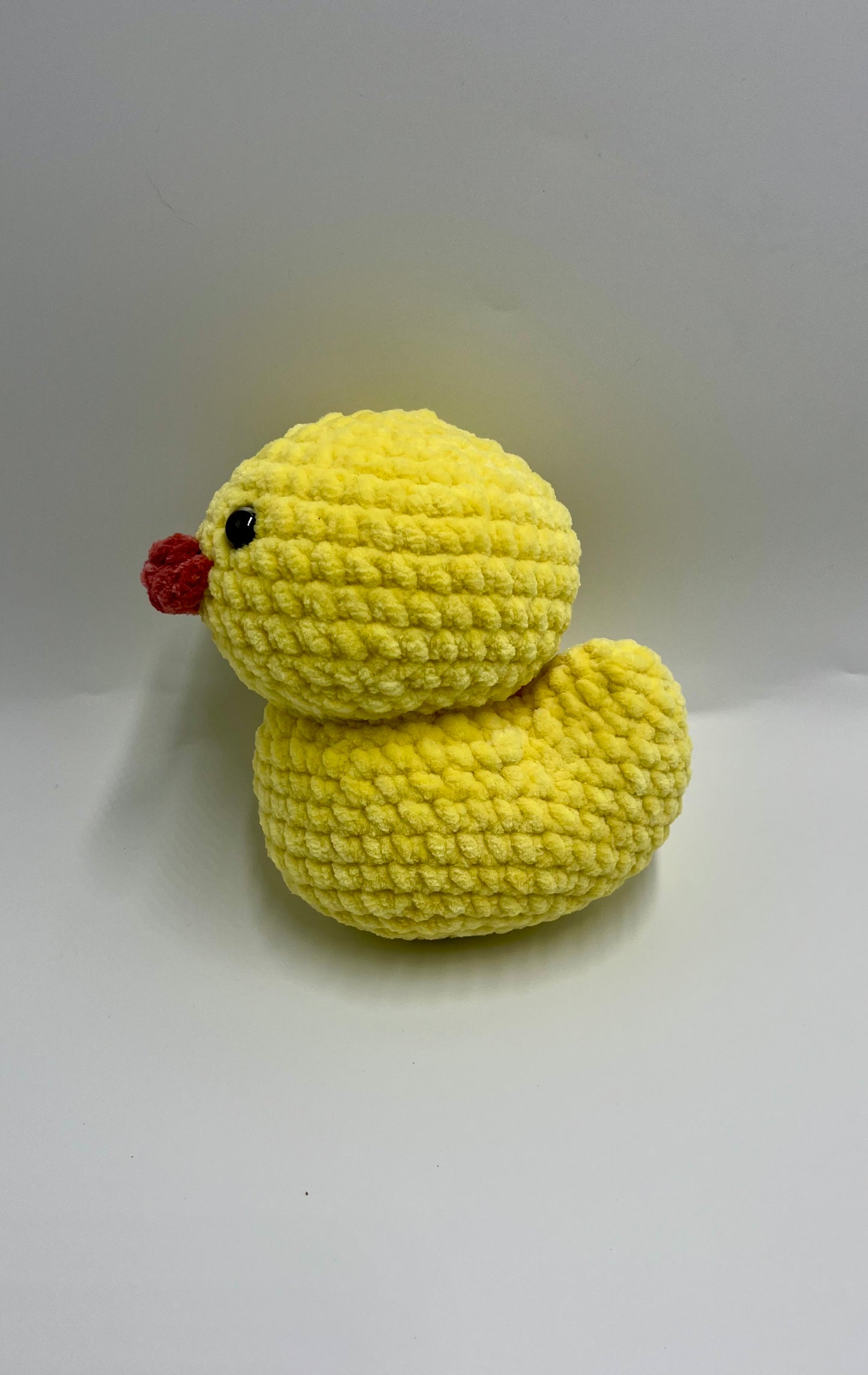 Petit canard