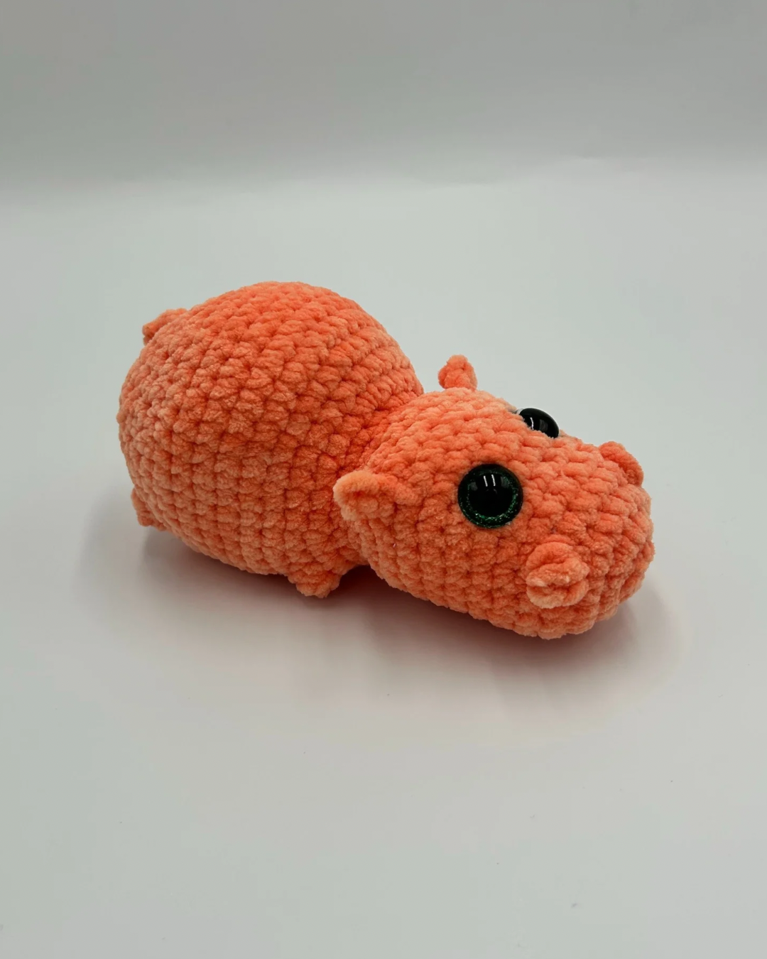 Hippopotame