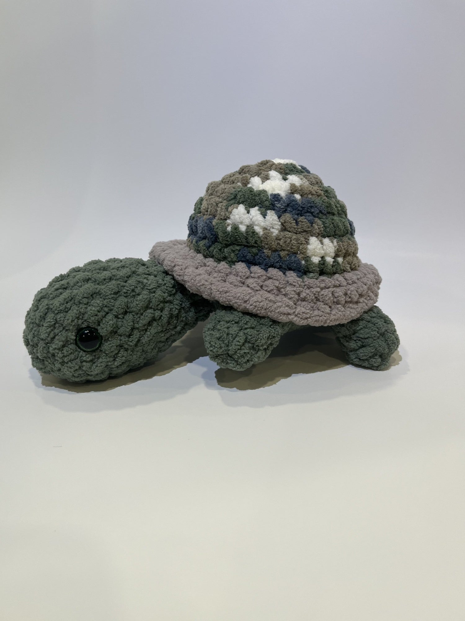 Tortues