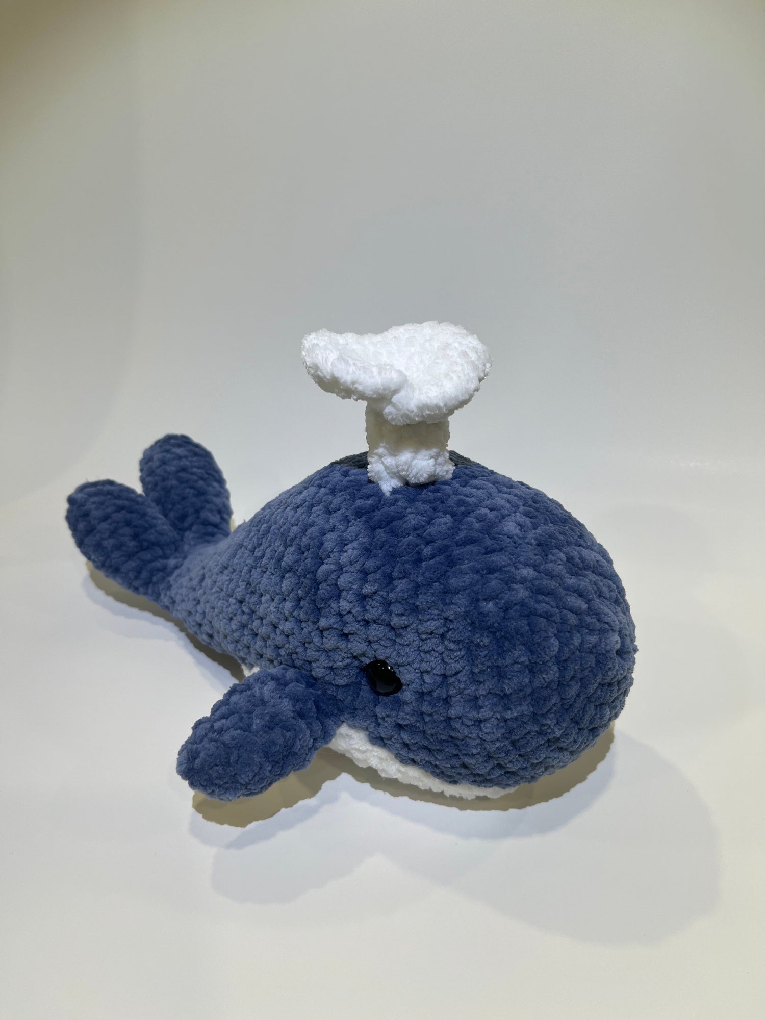 Animaux Marins