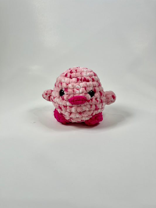 Petit poussin