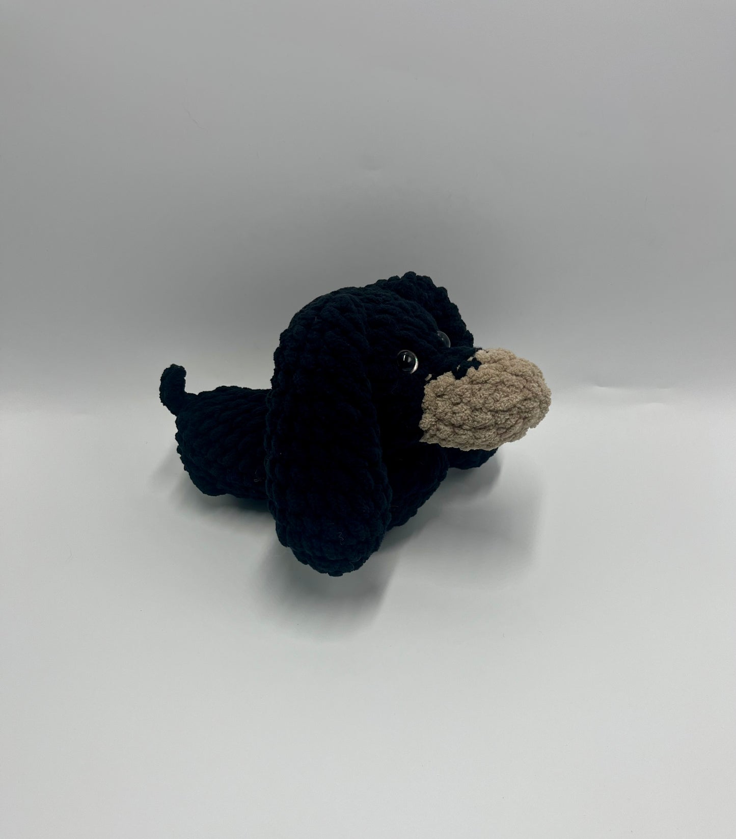 Chien Saucisse