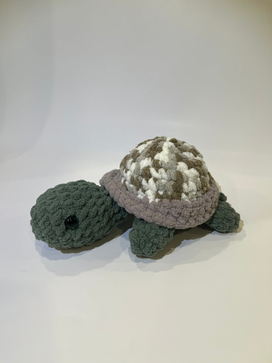 Tortue